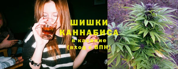 PSILOCYBIN Бугульма