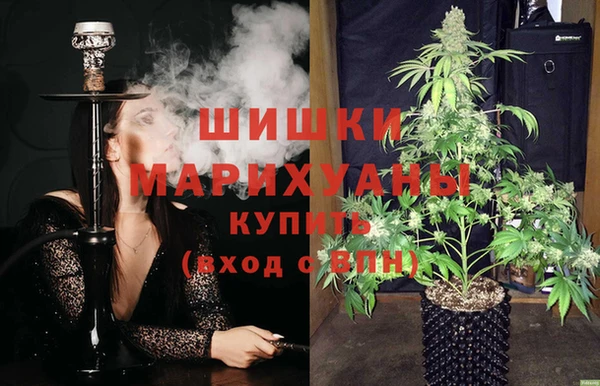 трава Алапаевск
