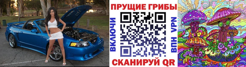 Псилоцибиновые грибы MAGIC MUSHROOMS Волчанск
